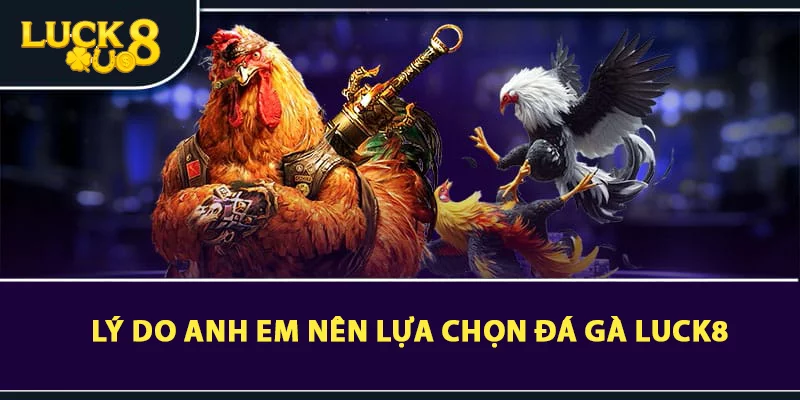 Lý do anh em nên lựa chọn đá gà LUCK8